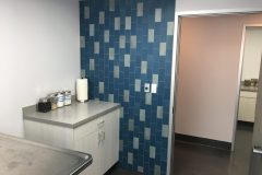 Tile project: Providence Veterinary Hospital exam room