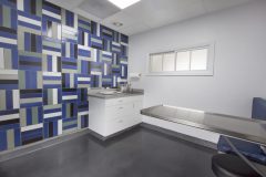 Tile project: Providence Veterinary Clinic exam room